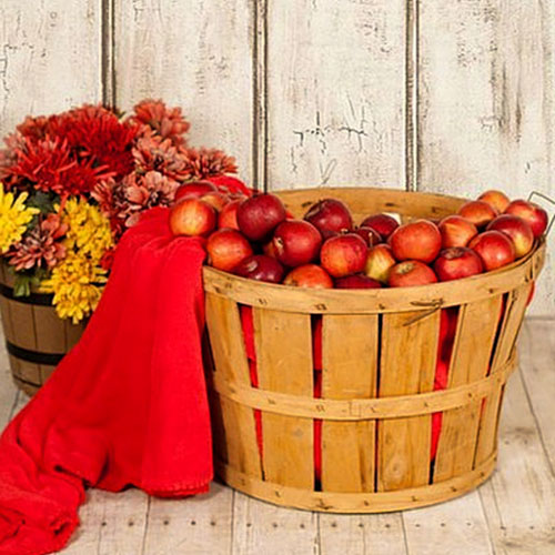 Una manzana aporta la fibra requerida en una sana alimentación