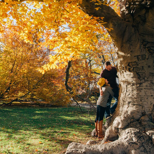 Un promesa en cielo de otoño