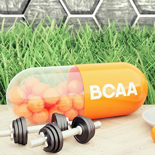 BCAA amino ácidos